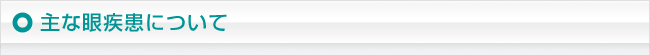 主な眼疾患について
