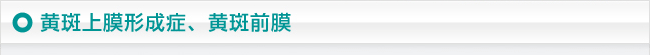 黄斑上膜形成症、黄斑前膜